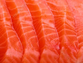 Salmon meat close-up