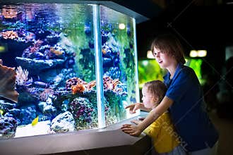 Brother and sister watching fishes in a zoo
