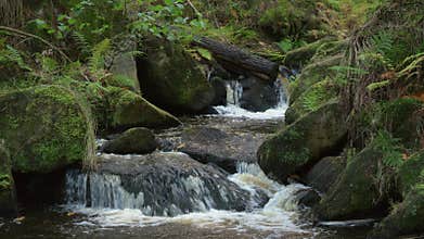Autumn woodland and cascading water at Wyming Brook in the Derbyshire, Peak District National Park