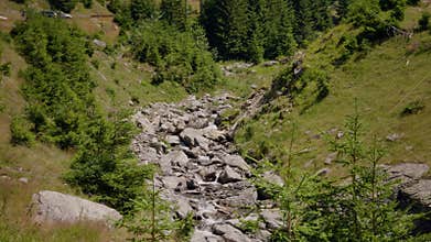 Wild mountain river running through stone rapids in carpathians in slow motion.