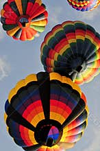 4 hot air balloons sailing together after launch