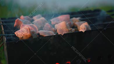 Marinated pork skewers grilling on mangal barbecue