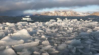 Ice floating in the Arctic fjord - Spitsbergen, Svalbard
