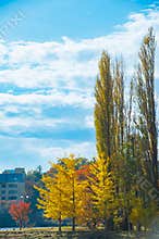 Autumn Lakefront with Vibrant Foliage and Mountain Village