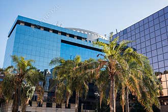 Modern glass office building with palm trees in sunlight