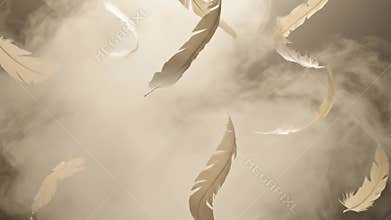 Feathers Floating Slowly in Air With Soft Light and White Smoke