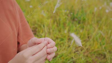 Close-Up of Hands Gently Caressing Feathery Wild Grass