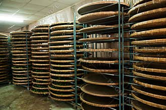 Taiwan's Chiayi City, Long Misato territory of a tea factory workers are hanging Oolong tea (tea first process: dry tea)
