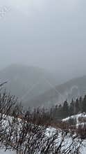 Atmospheric foggy winter forest in mountain valley