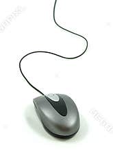 Wheel mouse
