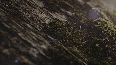 Visualizing the unpredictable beauty of digital degradation, showcasing a serene natural landscape slowly consumed by an