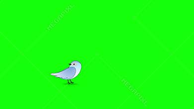 Cartoon Bird Flies in and Perches on Green Screen background