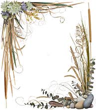 Floral Frame 1