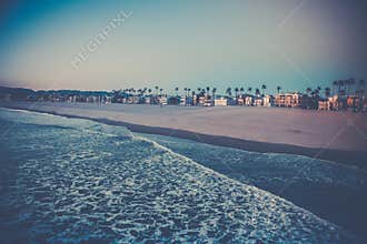 Beautiful view of the palm trees on the Venice Beach near the ocean captured in California, USA