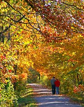 An Autumn Stroll