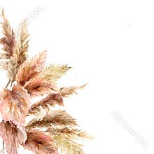 Watercolor tropical border with dry pampas grass and gold textures. Hand painted exotic frame isolated on white
