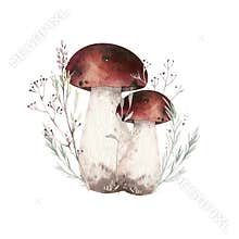 Watercolor illustration with mashrooms, branches, leaves and berries. Set of autumn forest plants, fly agaric and