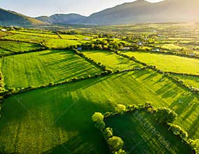 Aerial view of endless lush pastures and farmlands of Ireland. Beautiful Irish countryside with green fields and meadows. Rural