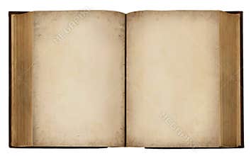 Blank Vintage Book