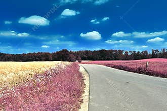 Stunning infrared view on purple fantasy landscapes with some ashpalt roads