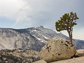 Yosemite