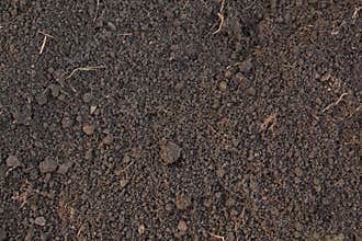 Pattern of humus soil