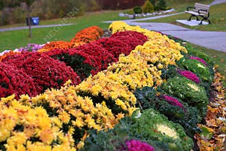 Fall flower arrangement in Edwards Garden