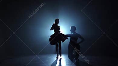 Emotional and graceful pasodoble dance performed by champions, slow motion