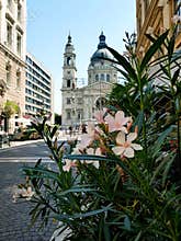 Blooming beautiful city of Budapest
