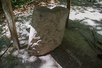 Archaeological Site: El Mirador, the cradle of Mayan civilization and the oldest mayan city in history