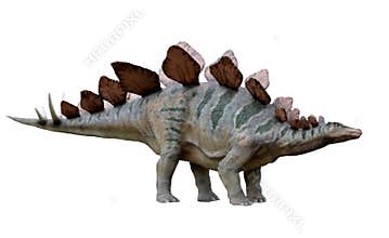 Dinosaur Stegosaurus