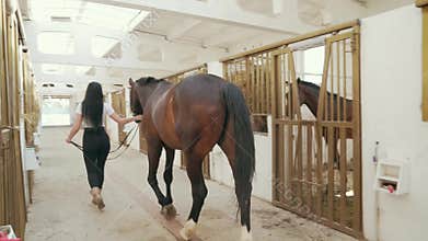 Woman walking with horse out of stable.