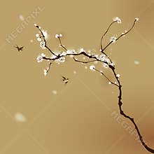 Oriental style painting, plum blossom in spring
