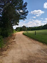 Dirt driveway in country