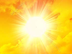 Morning sun