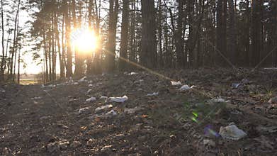Garbage on the grass in the forest on the background of the road and the sunset, ecology, environmental pollution by man