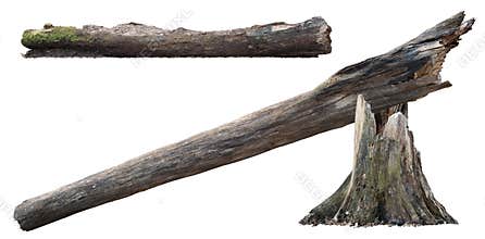 Cutout tree stump. Broken tree