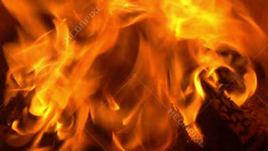 Bonfire on a beach in a fire pit