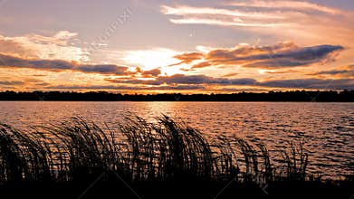 Sunset Over Lake With Cattails