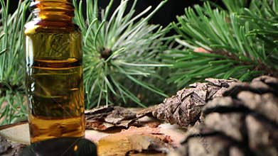 Alternative medicine - organic pine essential oil