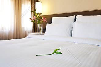Hotel bed