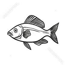 Eye-catching Black And White Fish Vector Illustration
