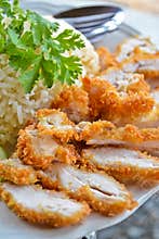 Appetizing fry chicken rice of thailand