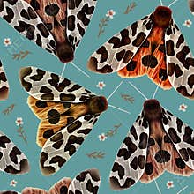 Vector seamless pattern with the garden tiger moth