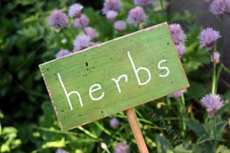 Herb Garden