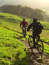 Mountain Biking in Autumn