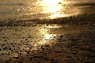 Sandy shore under sunset beams