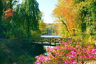 Wooden bridge in fall