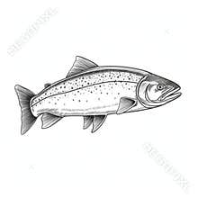 Stark Visuals: Black And White Fish Sketch With Realistic Light And Color