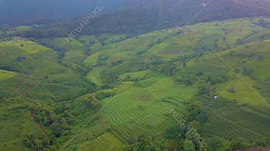 Terraced Rice Field in Chiangmai, Thailand